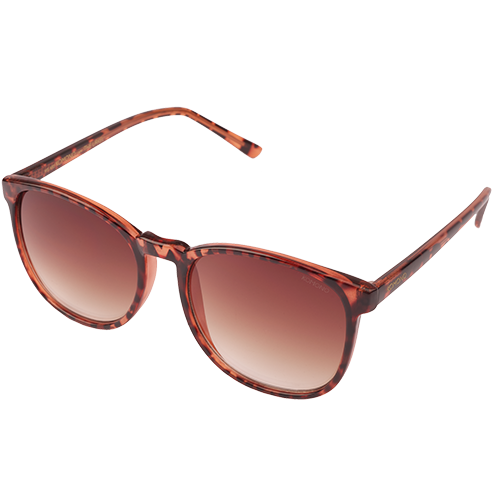 پوینت - urkel tortoise  