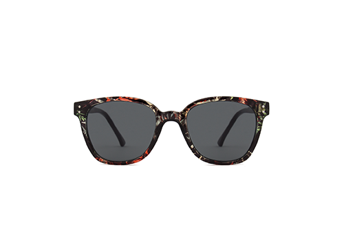 پوینت - Renee fern  