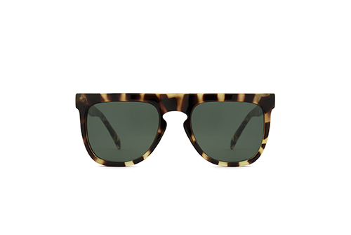 پوینت - Bennet tortoise  