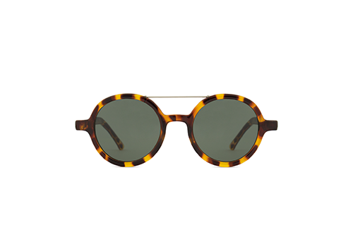 پوینت - Vivien tortoise  