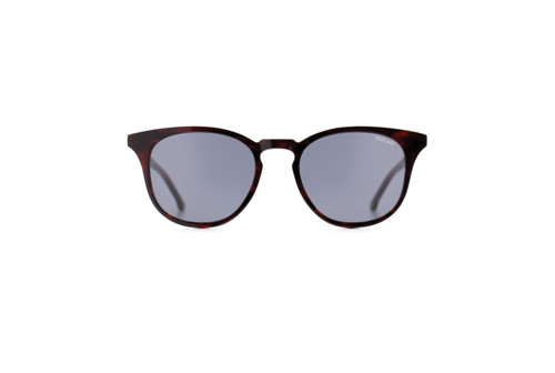 پوینت - Beaumont acetate tortoise red  