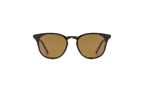 پوینت - Beaumont acetate tortoise  