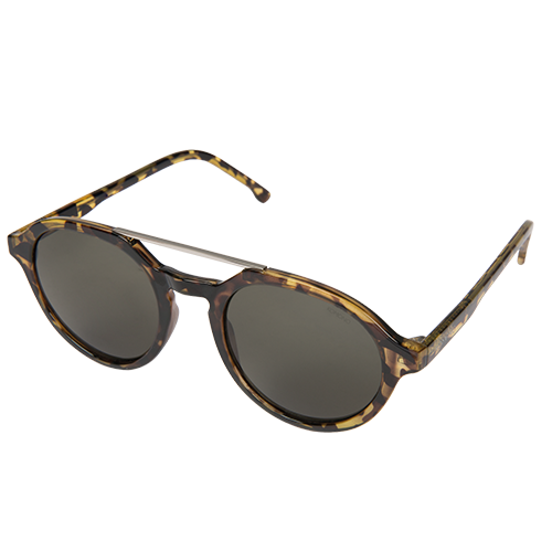 Harper Tortoise   - 2