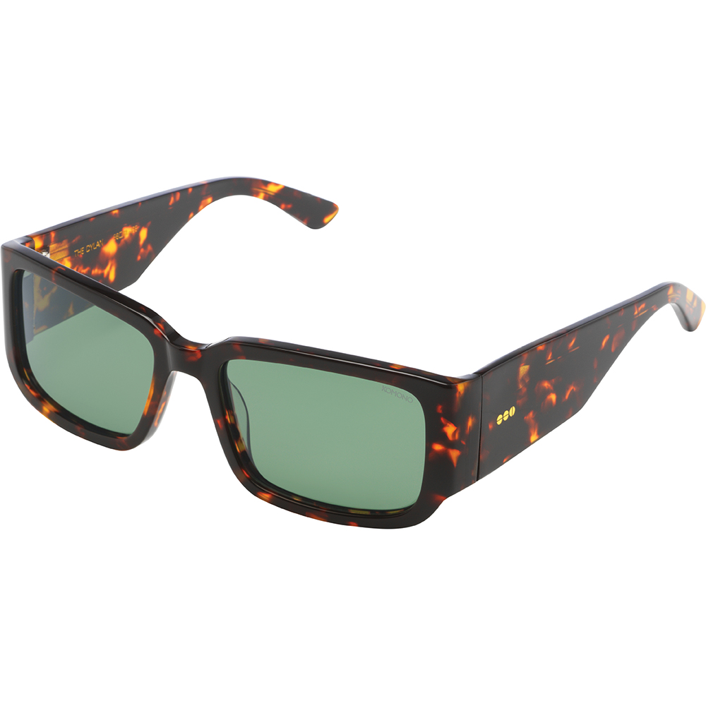 Dylan Tortoise   - 2